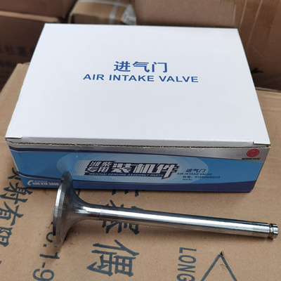 Katup Intake Suku Cadang Truk Sinotruk Howo 612600050073