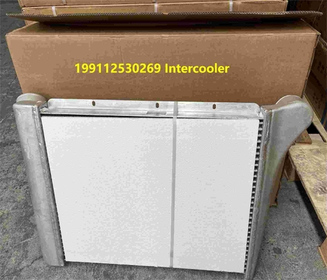199112530269 Shacman Truck Parts Intercooler Assembly Bagian-bagian truk Shacman F3000