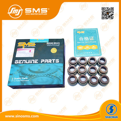 Segel Minyak Katup Sinotruk Howo VG2600040114